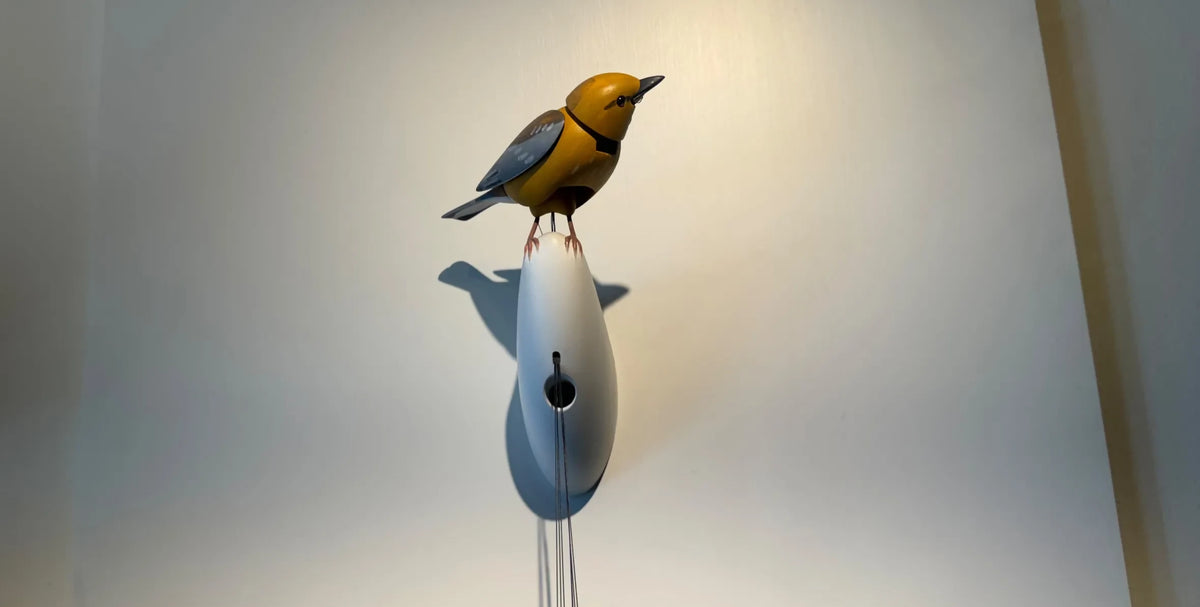 Bird (for sale)