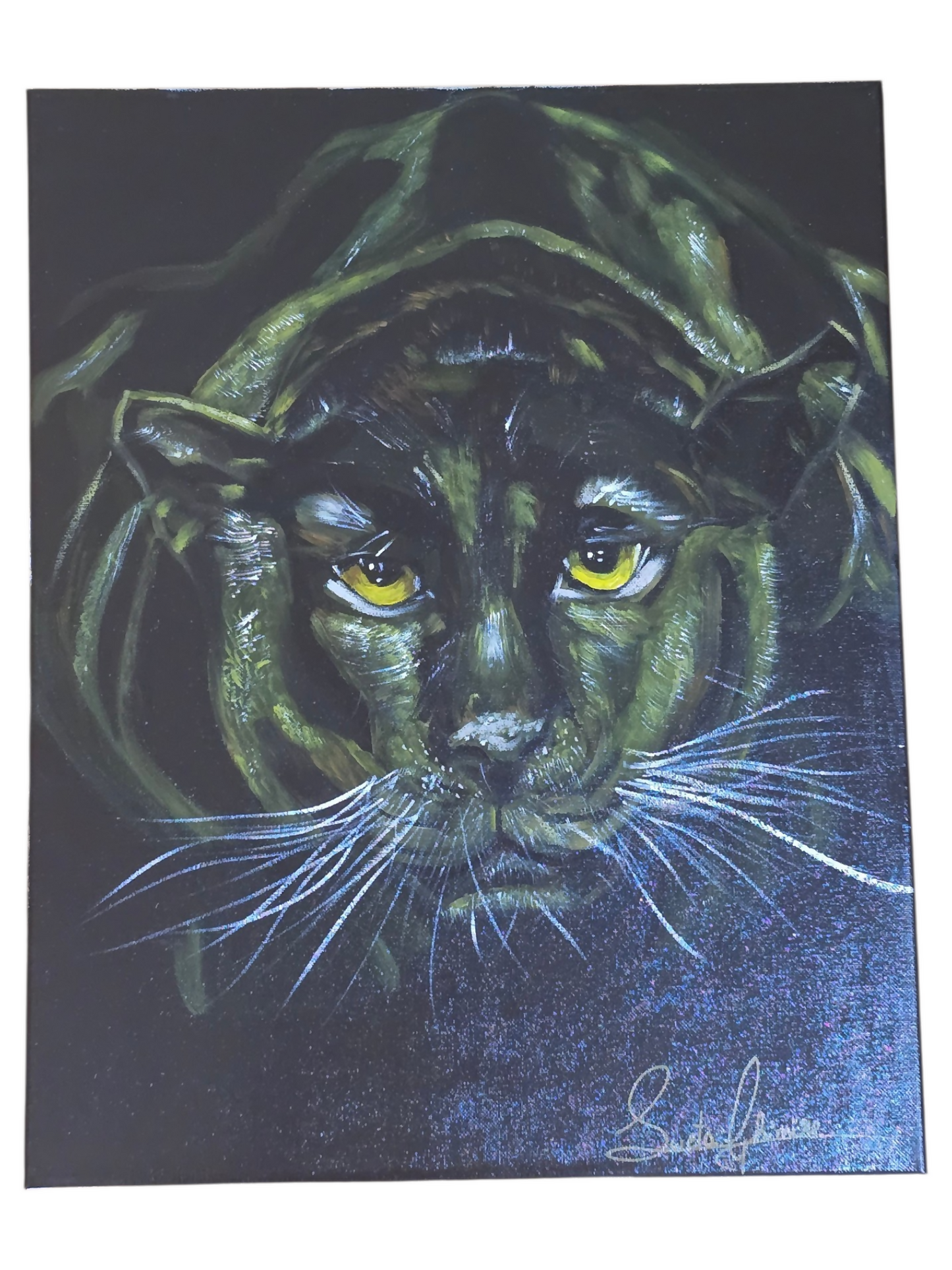 Shakti-The Black Panther