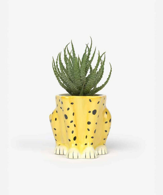 Cheetah Planter