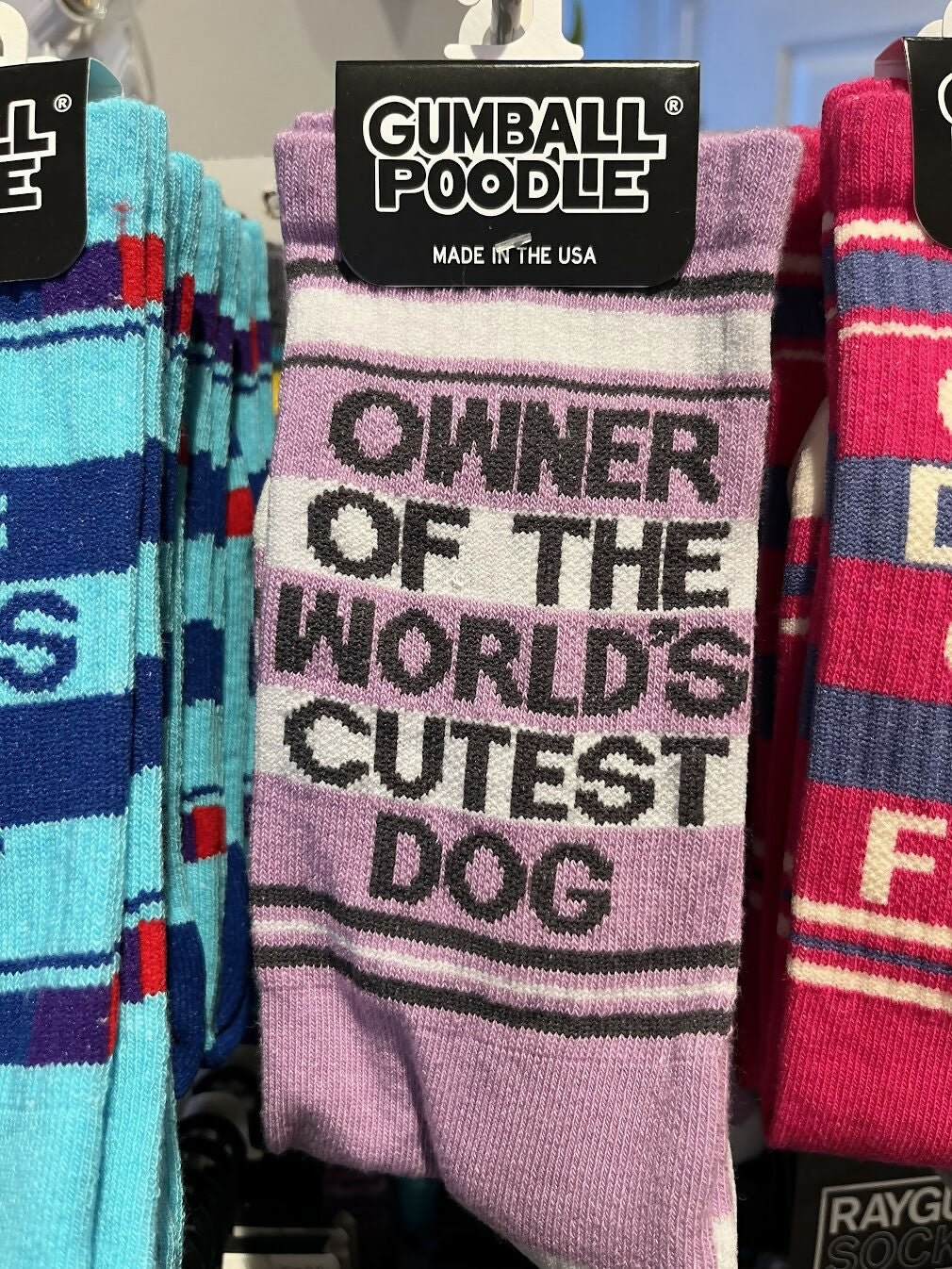 Owner of the World's Cutest Dog Socks
