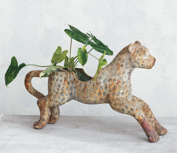 Carousel Leopard Container