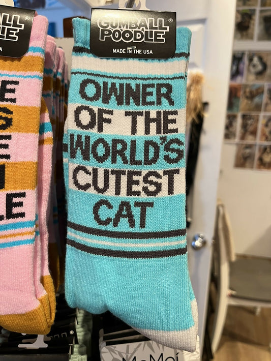 Owner of the World's Cutest Cat Socks